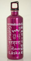24oz Stainless Steel - Fuchsia