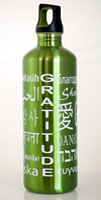 24oz Stainless Steel - Green